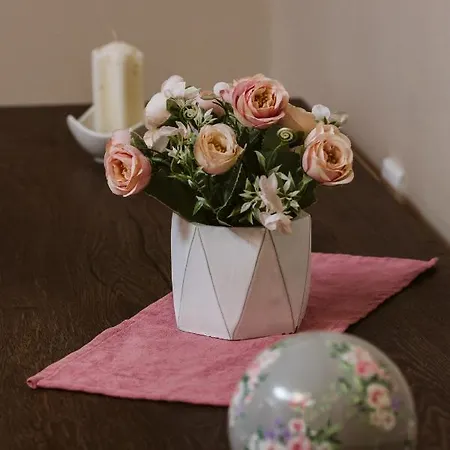 Vively Lux - & Spacious With Balcony And Free Wifi Szabadka