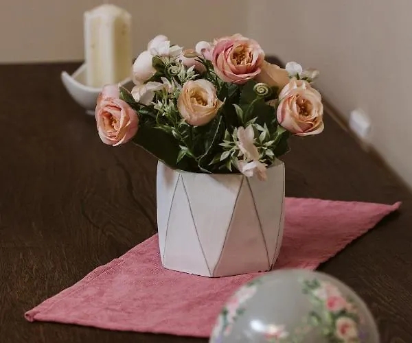 Vively Lux - & Spacious With Balcony And Free Wifi سوبوتيتْسا